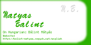 matyas balint business card